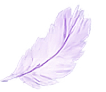 Decorative Saint Solutions feather graphic representing clarity and financial guidance